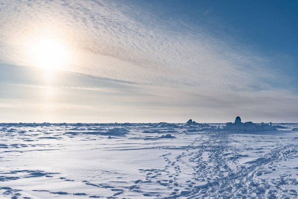 Полярный полюс это Арктика