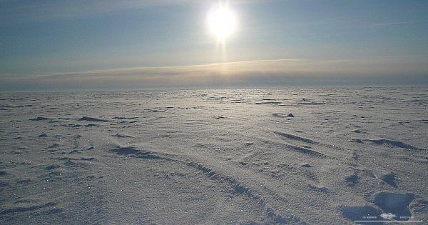 Северный полюс Арктика Полярная ночь
