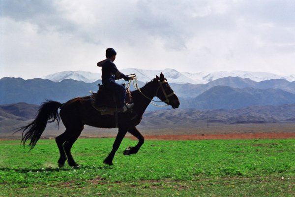 Пожелания на день джигита