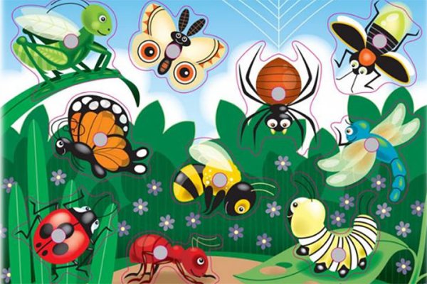 Насекомые для дошкольников