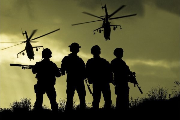 День ССО В России