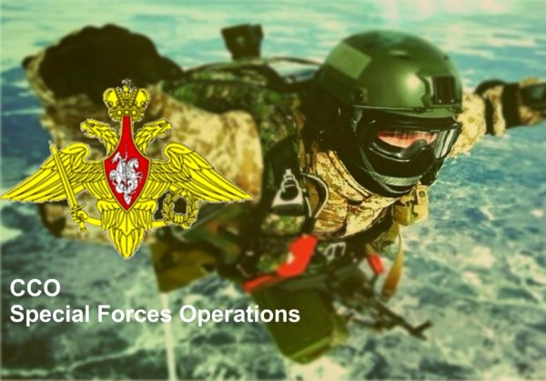 ССО вежливые люди