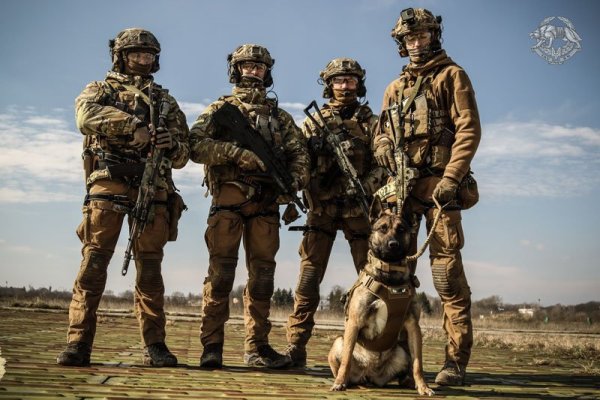 Силы специальных операций эмблема