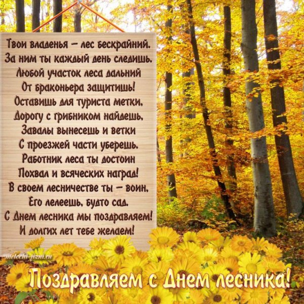 День лесника