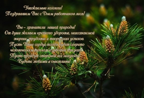 С днем работника леса