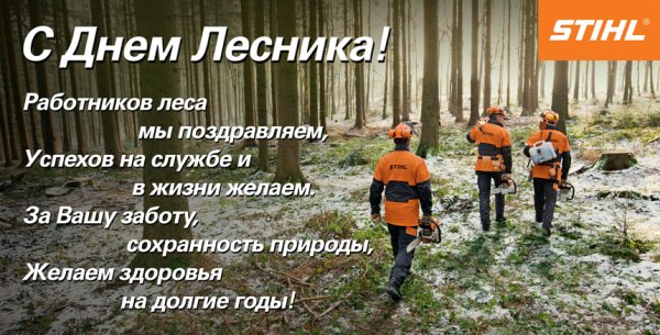 С днем работника леса