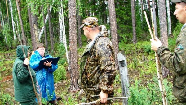 С днем работника леса