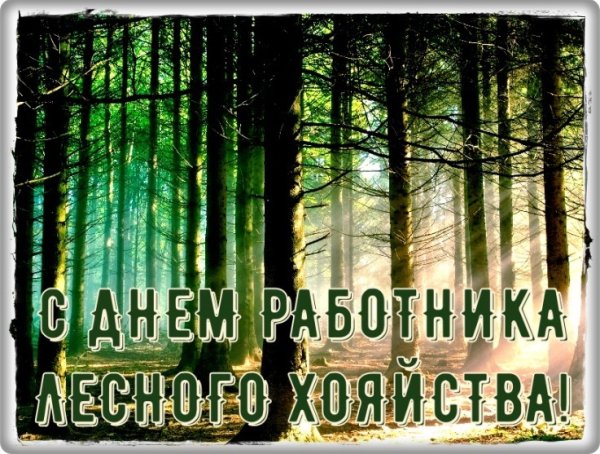 С днем работника леса