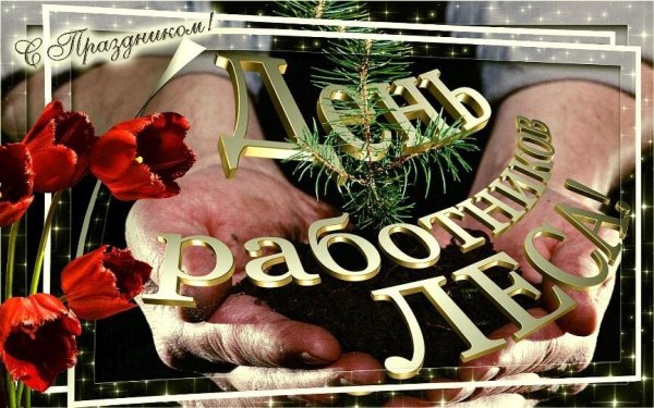 С днем работника лесного хозяйства