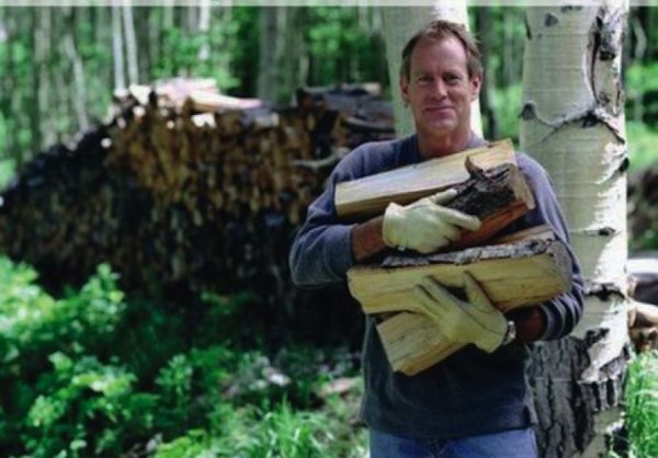 Поздравления с днем работника лесам