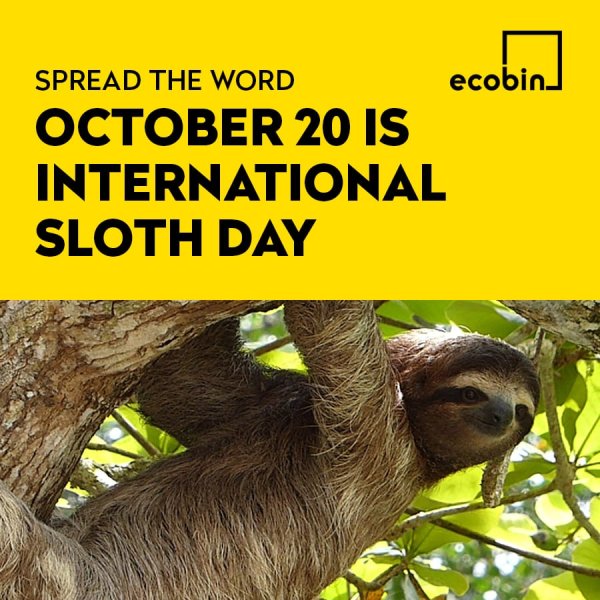 День ленивых Международный