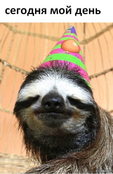 Всемирный день лени