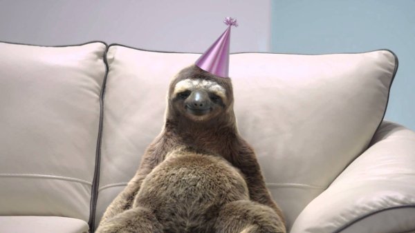 Международный день ленивца открытки