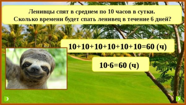 Ленивец Ленни