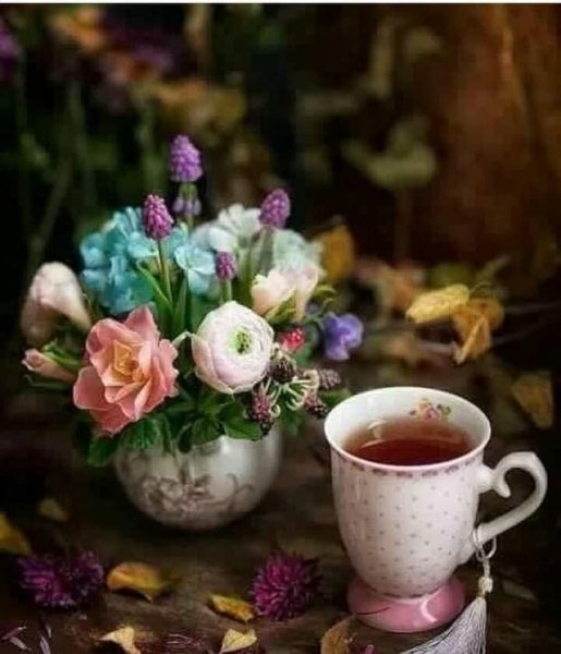 Осень чай цветы