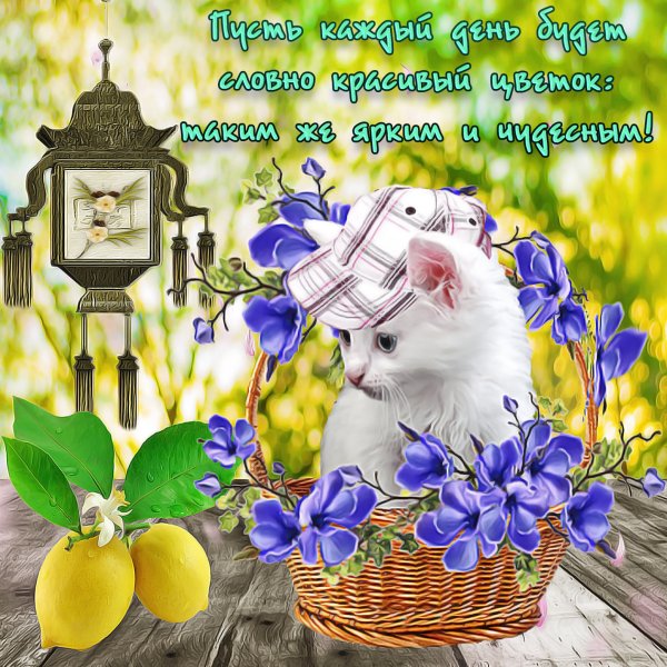 Пожелания на каждый день