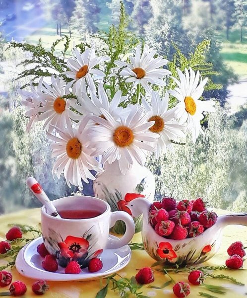 Доброе утро четверга