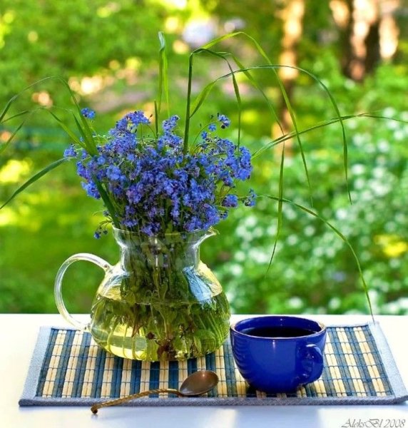 Летнее утро