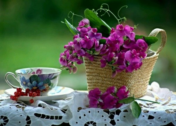 Прекрасного утра цветы