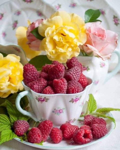 Радостного утра и прекрасного настроения