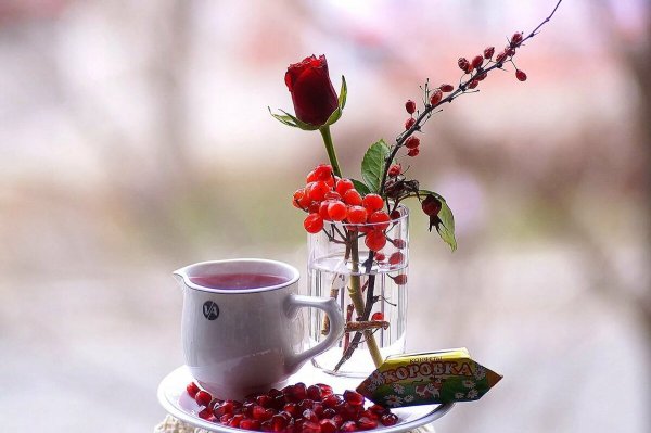 Прекрасного ноябрьского утра