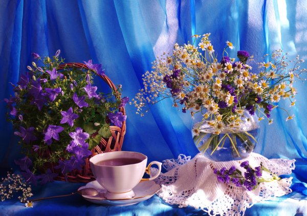 Доброго весеннего вечера