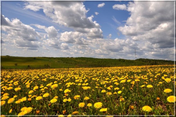 Федорин день