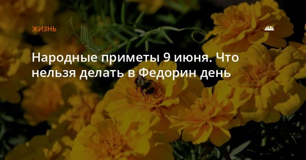 Капустные вечерки афиша