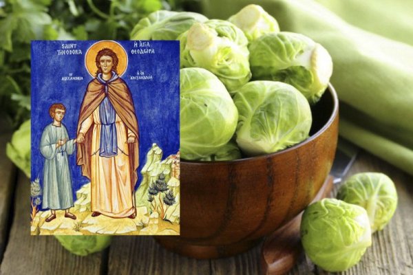 24 Сентября Федорины вечерки презентация