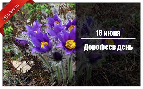 Дорофеев день 18 июня приметы