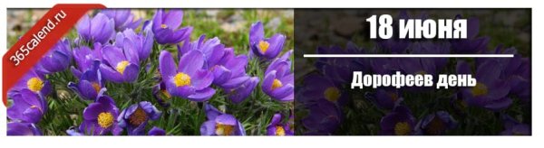 Дорофеев день, день сон-травы