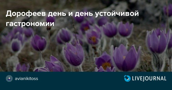 Народные приметы на 18 июня