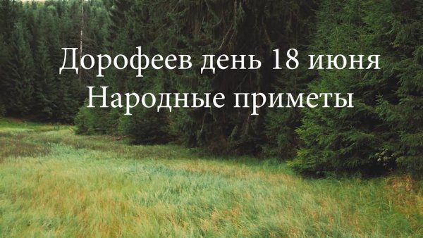 Наталья Лясковская «сон-трава»