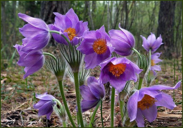 Народные приметы на 18 июня