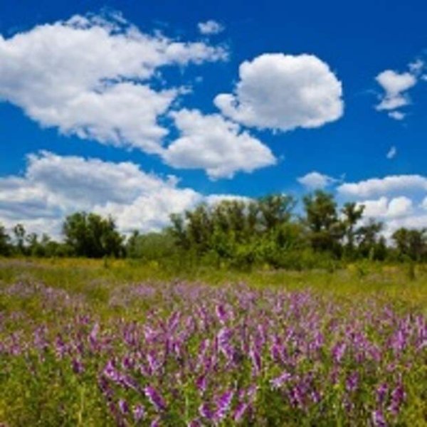 18 Июня народный календарь