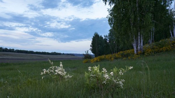 Какой сегодня праздник 18 июня