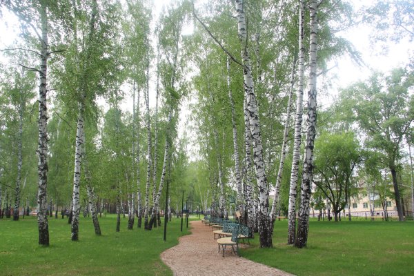 Священномученик Дорофей Тирский