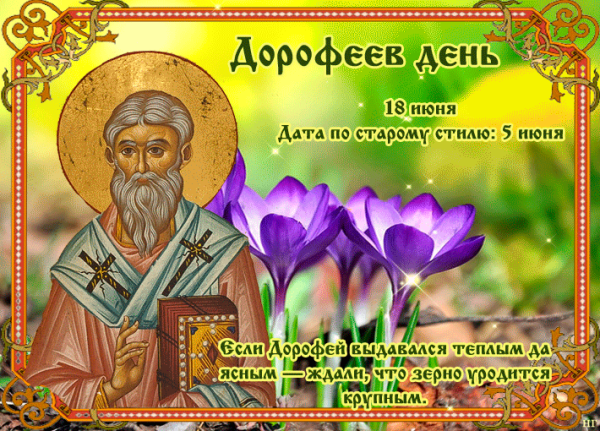 Весенние цветы Кузбасса