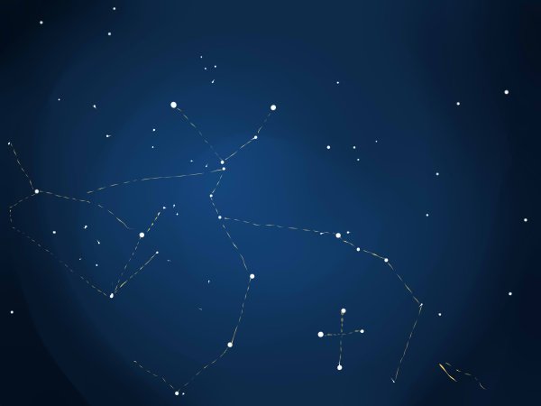 Созвездие Стрелец Кентавр