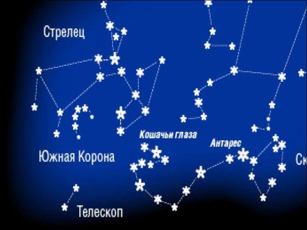 Созвездие Цетус