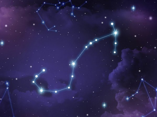 Ян гевелий атлас созвездий