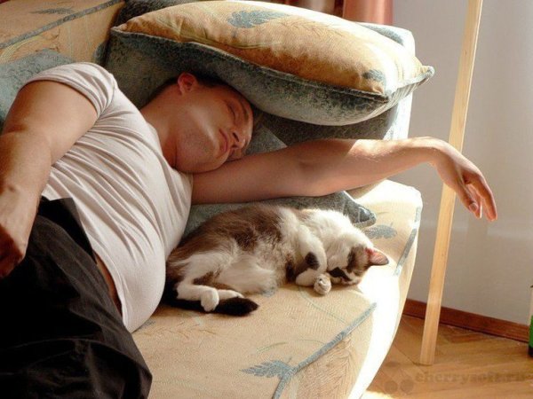 Сон после обеда