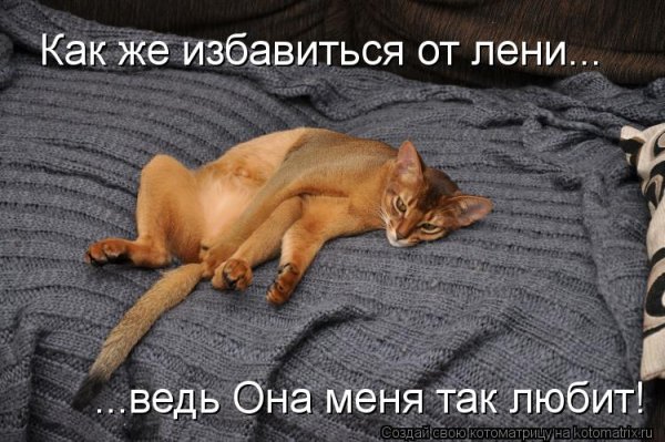 20 Августа Всемирный день лени