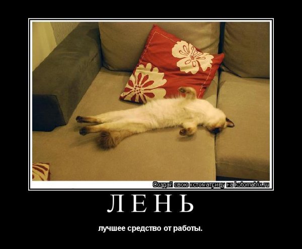 Анекдоты про лень