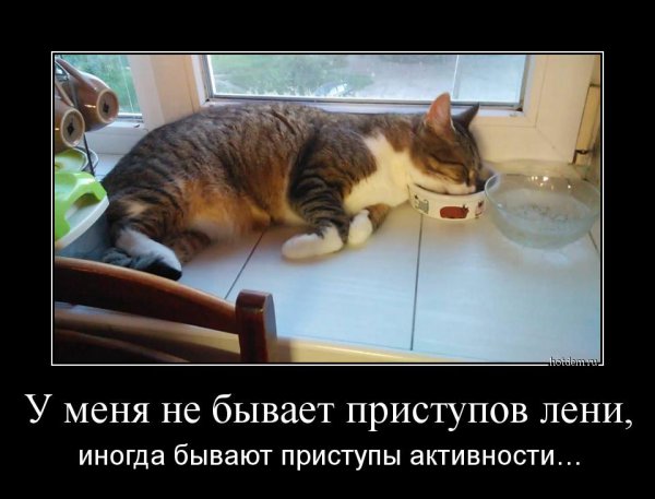 Лень это искусство отдыхать