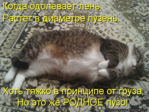 20 Августа Всемирный день лени