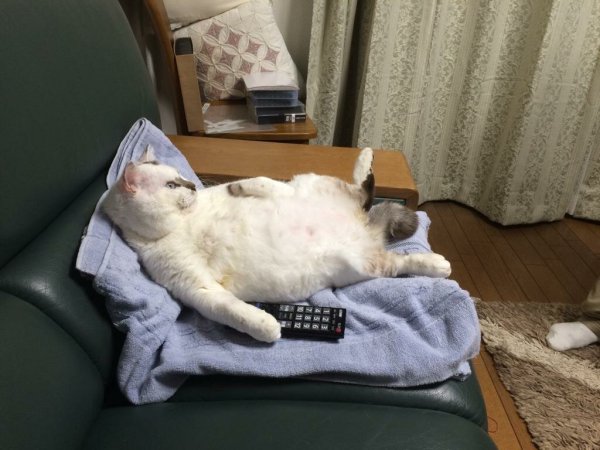 Международныймдень лени