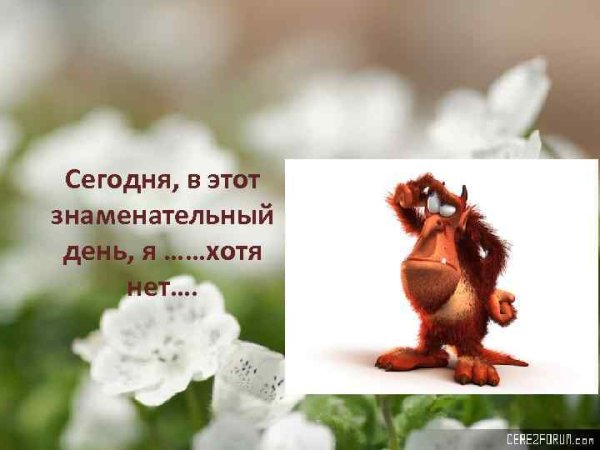 В этот знаменательный день