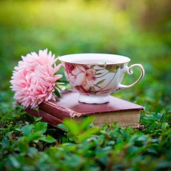 Необычные открытки с добрым утром