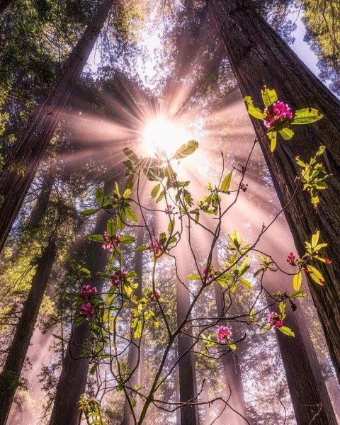 Сказочные мгновения